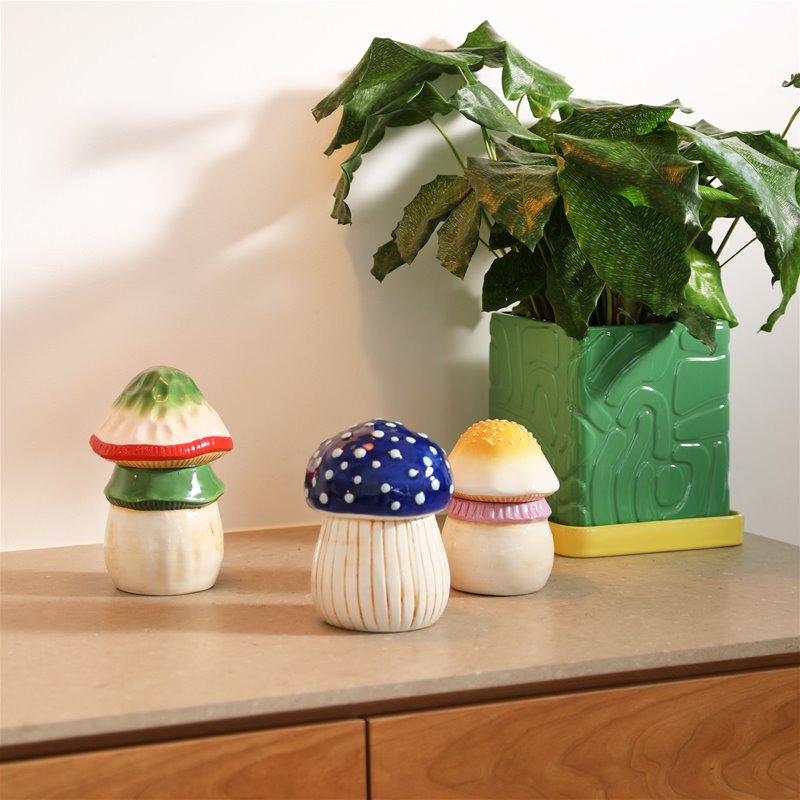 &K | JAR MAGIC MUSHROOM - LARGE