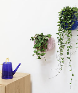 &K | PLANTER CLAY - LILAC