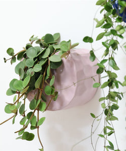 &K | PLANTER CLAY - LILAC