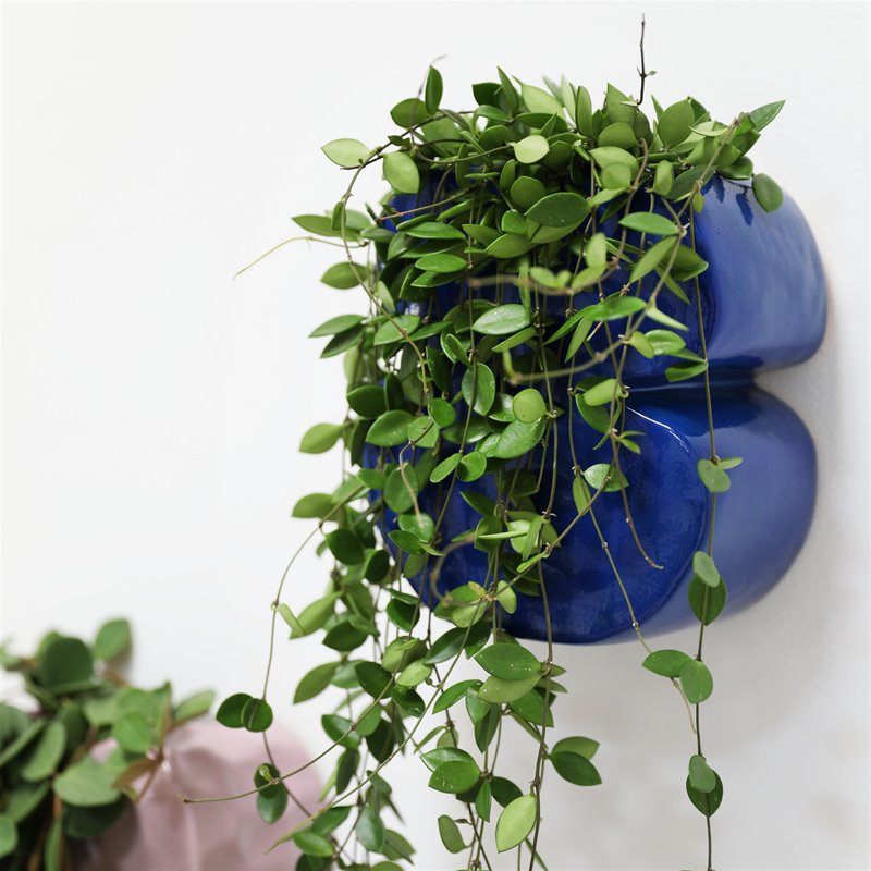 &K | PLANTER CLAY - BLUE