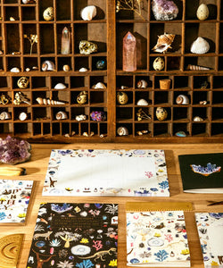 ATWTS | POCKET NOTEBOOK A6 DUO - CURIOSITY