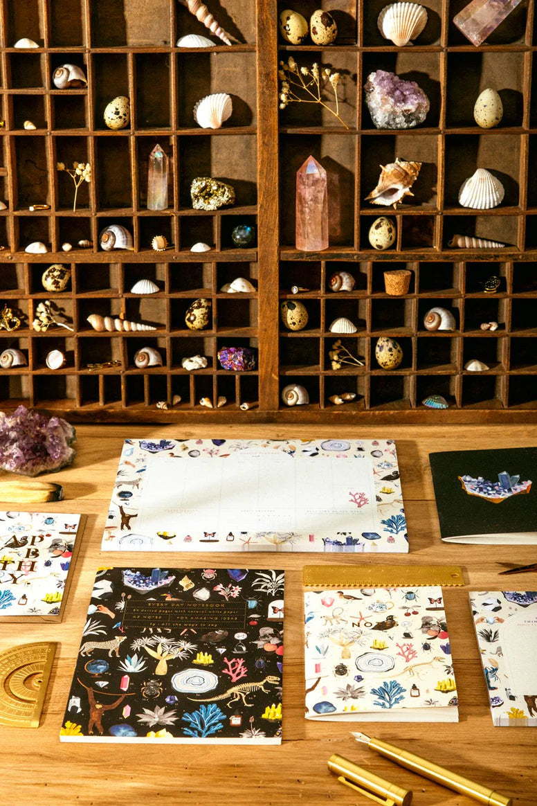 ATWTS | POCKET NOTEBOOK A6 DUO - CURIOSITY