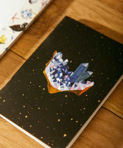 ATWTS | POCKET NOTEBOOK A6 DUO - CURIOSITY