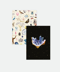 ATWTS | POCKET NOTEBOOK A6 DUO - CURIOSITY