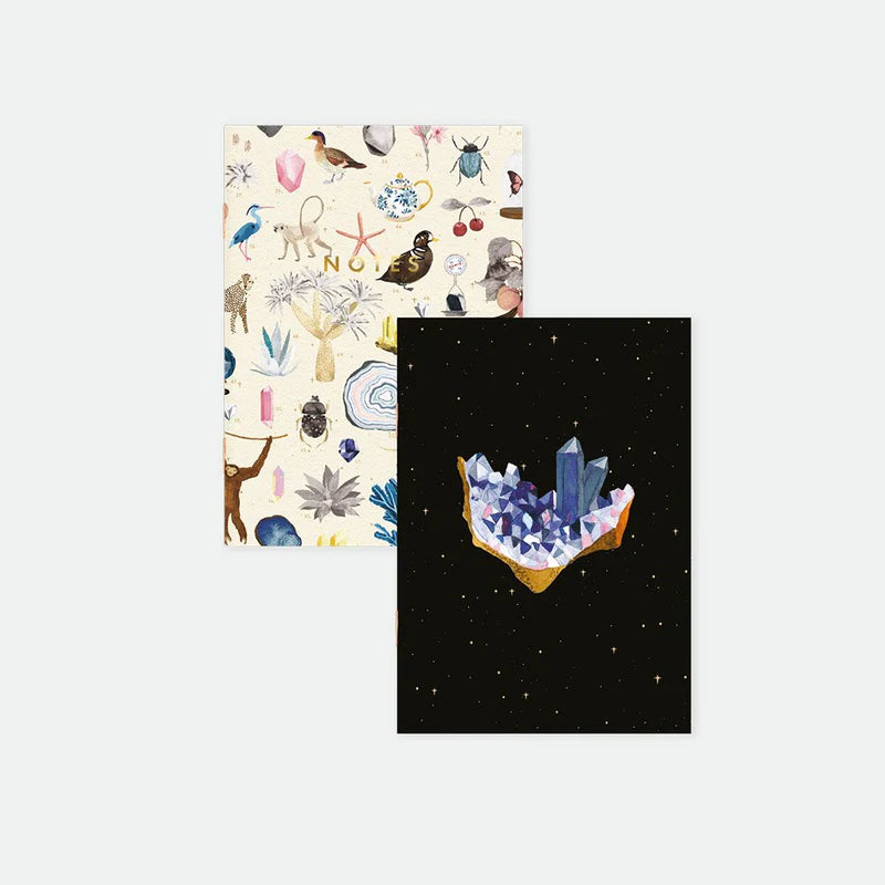 ATWTS | POCKET NOTEBOOK A6 DUO - CURIOSITY