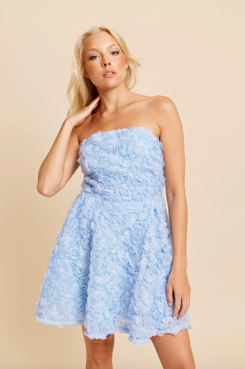 DRY LAKE | ROSE TUBE DRESS - BLUE
