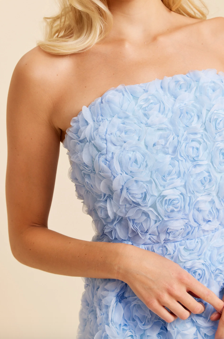 DRY LAKE | ROSE TUBE DRESS - BLUE