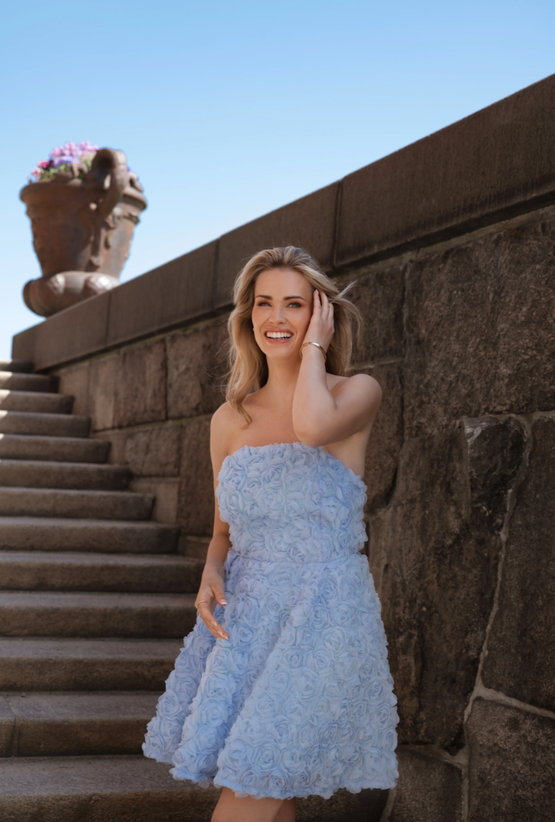 DRY LAKE | ROSE TUBE DRESS - BLUE