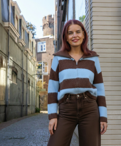 TESS STRIPED ZIPPER CARDIGAN - BROWN/BLUE