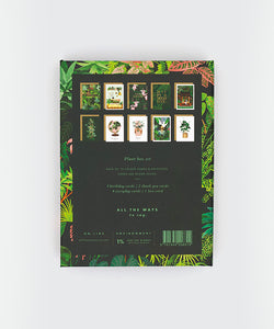 ATWTS | KAARTEN BOX VAN 10 - PLANT