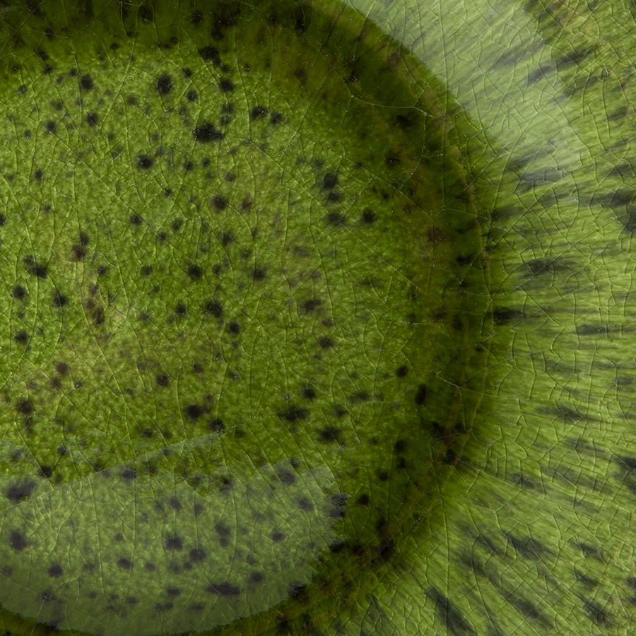 HKliving | EMERALDS SIDE PLATE- SPOTTED GREEN